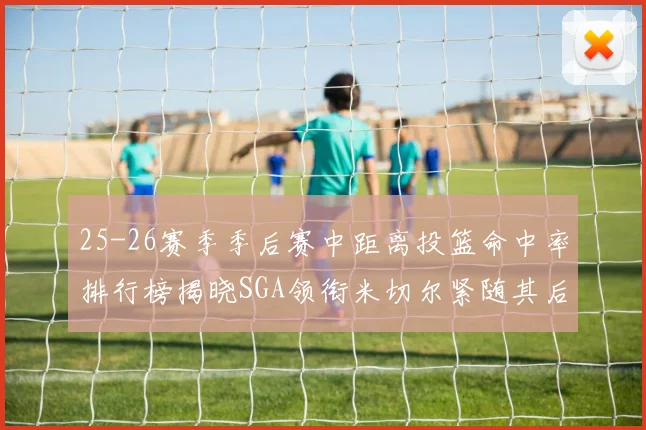 25-26赛季季后赛中距离投篮命中率排行榜揭晓SGA领衔米切尔紧随其后哈登位列第五