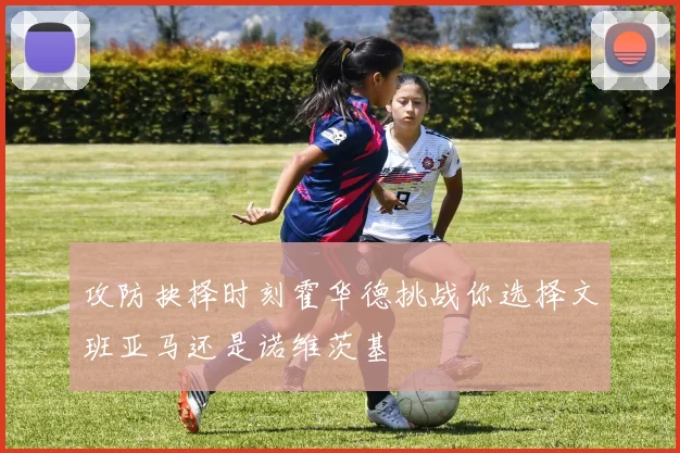攻防抉择时刻霍华德挑战你选择文班亚马还是诺维茨基
