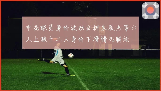 申花球员身价波动分析朱辰杰等六人上涨十二人身价下滑情况解读
